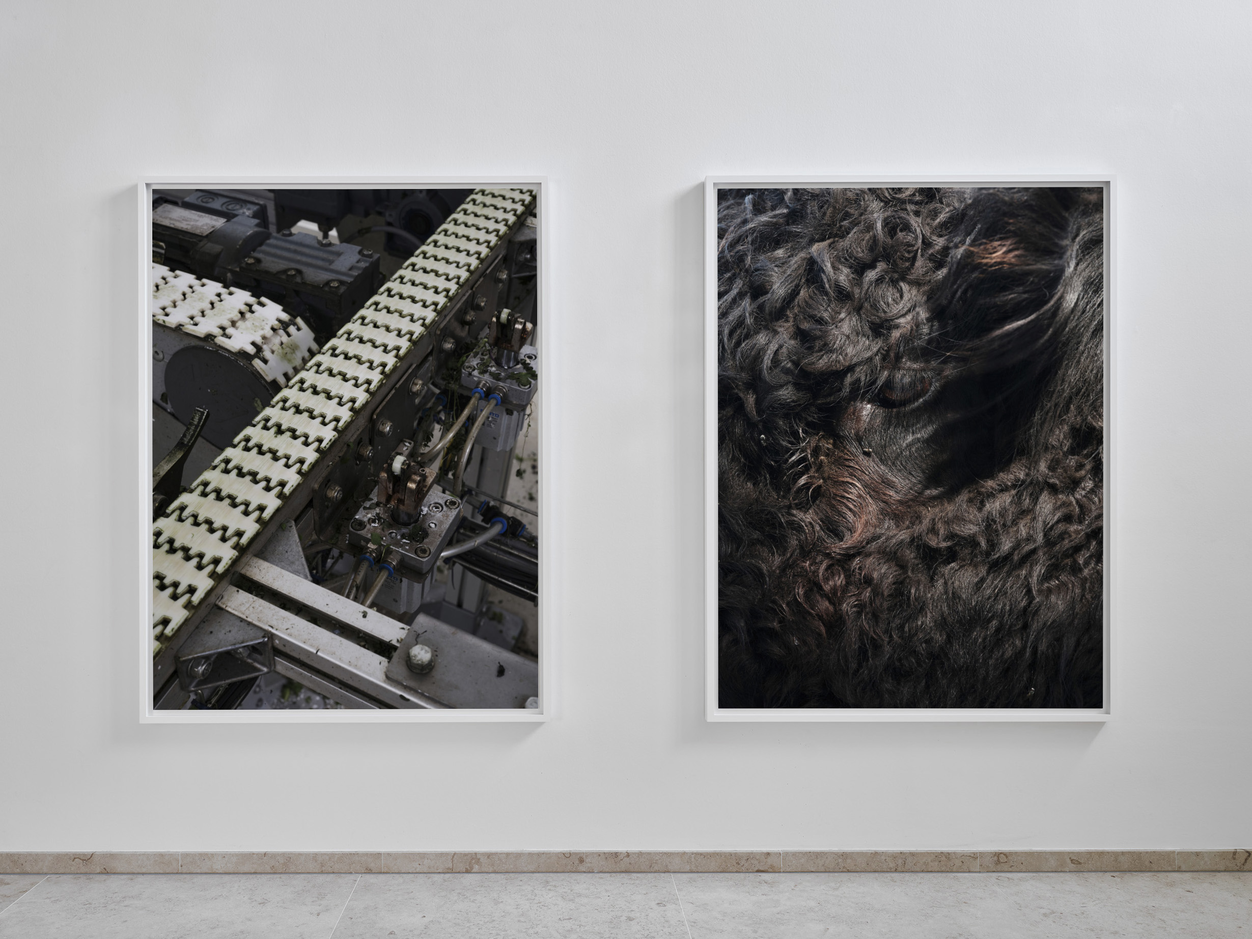 Installation view, Threshold, The Hague 2026